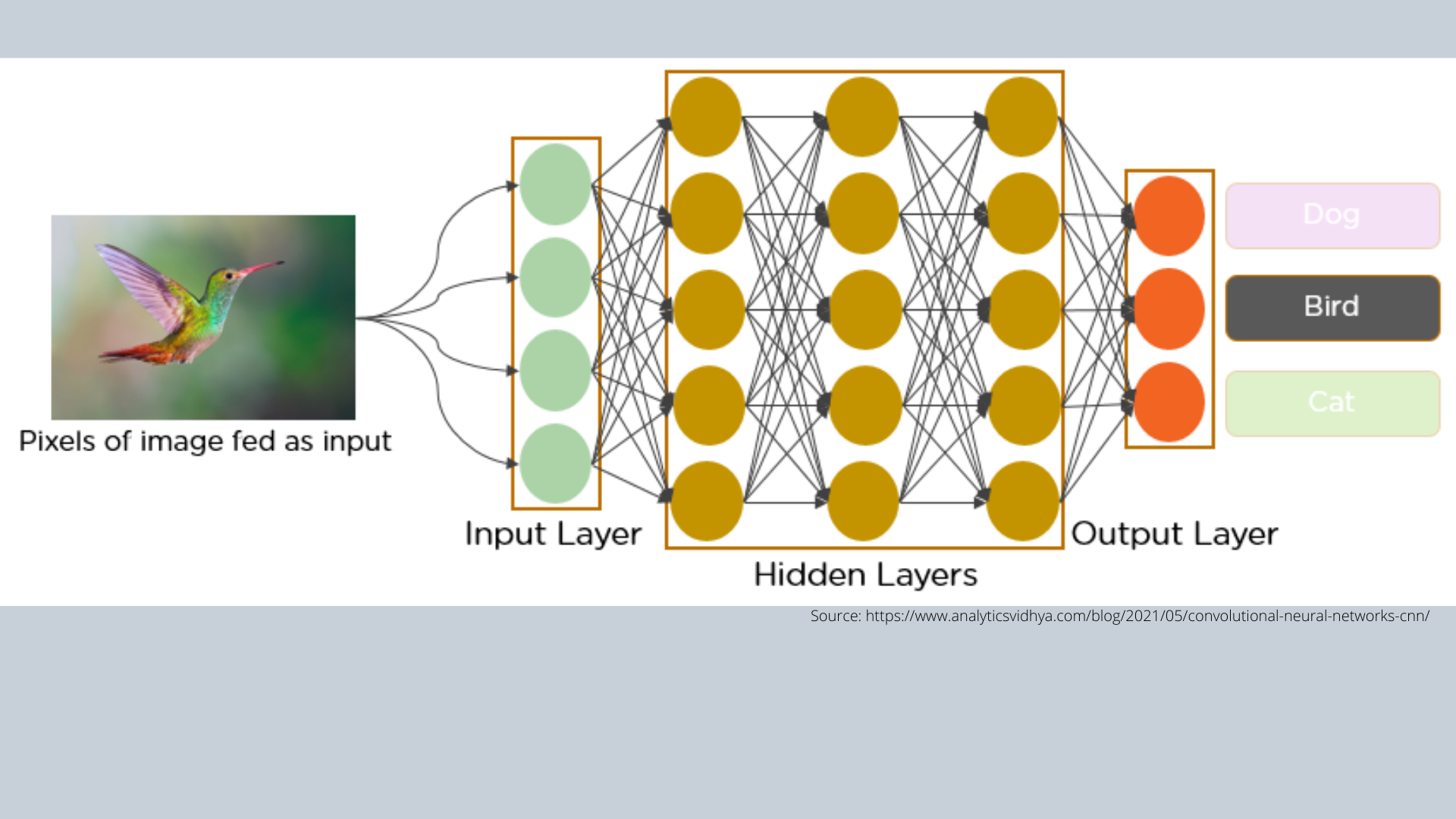 CNN нейронная сеть. Сиамские нейронные сети. Convolutional Neural Network без фона. Convolutional Neural Network logo.